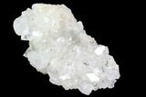 Clear/White Apophyllite Crystal Cluster - India #92237-1